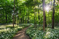 Manieren om te ontspannen XI