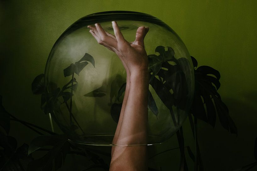 Le sentiment de Corona par Crystal Clear