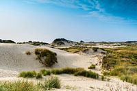 Dünenlandschaft an der Küste mit Sonnenschein und einem schönen bewölkten Himmel.