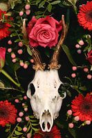 Ode an die Toten - Hirschgeweih