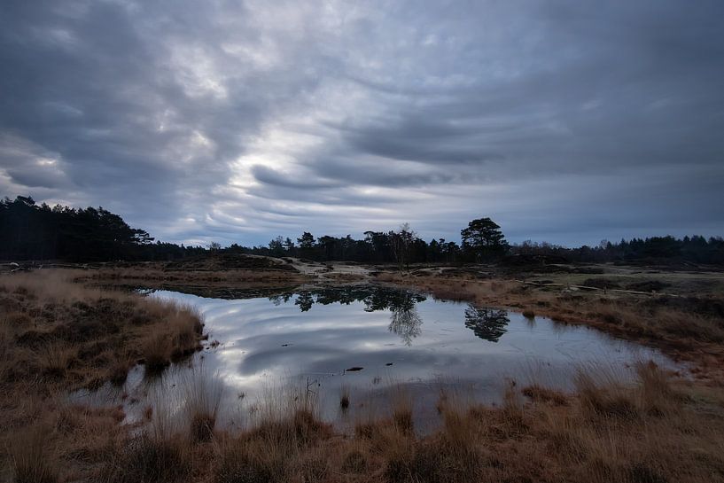 Waldsee Heidestein Bornia Anwesen! von Peter Haastrecht, van