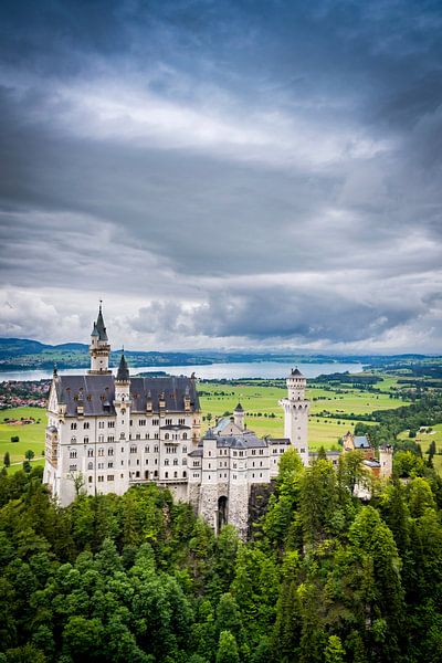 Schloss Neuschwanstein, Deutschland von Lex van Lieshout