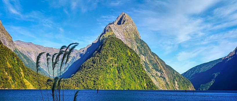 Milford Sound, Neuseeland von Rietje Bulthuis