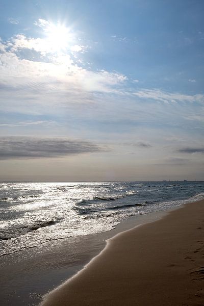 Im Gegenlicht von Ostsee Bilder
