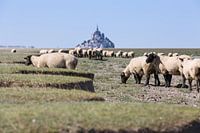 Le Mont Saint Michel