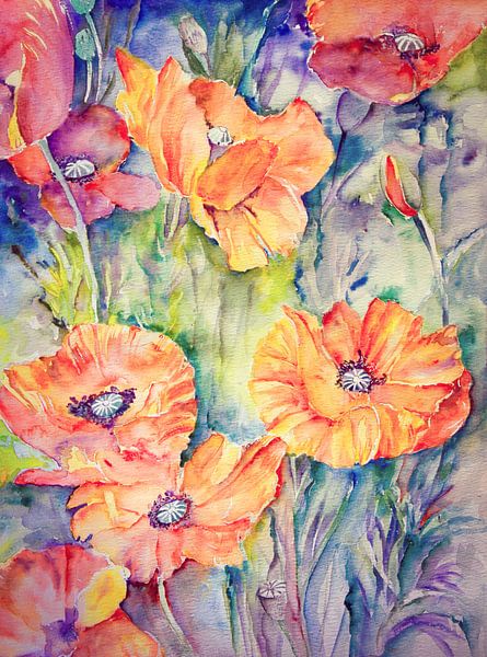 summerbeauties... coquelicots ( aquarelle ) par Els Fonteine
