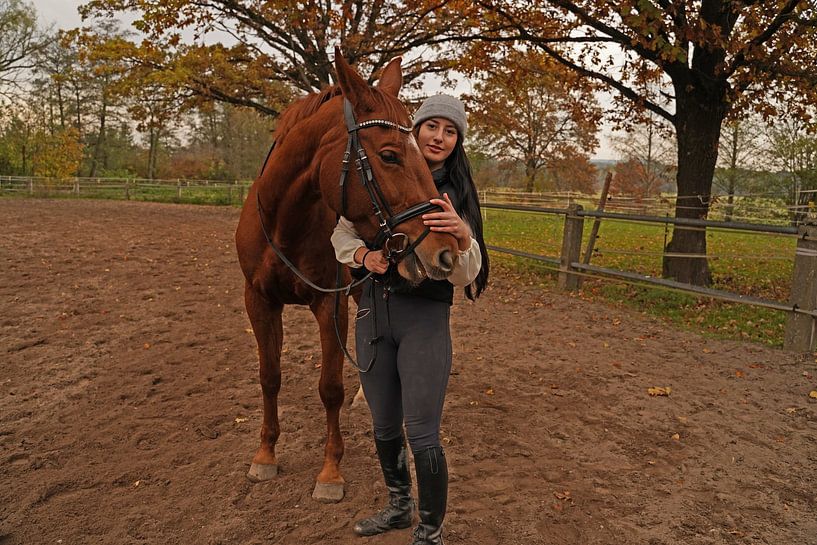 Training mit der rotbraunen Oldenburger Stute auf einem Reitplatz von Babetts Bildergalerie