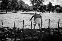 LOST IN AMSTERDAM (2018-237)