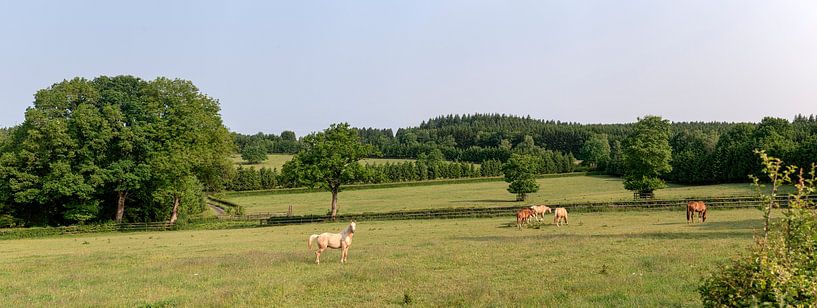 Landschaft Weismes Belgien von Richard Wareham