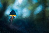 Painterly glowing mushroom