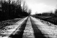 Halfbesneeuwd natuurgebied