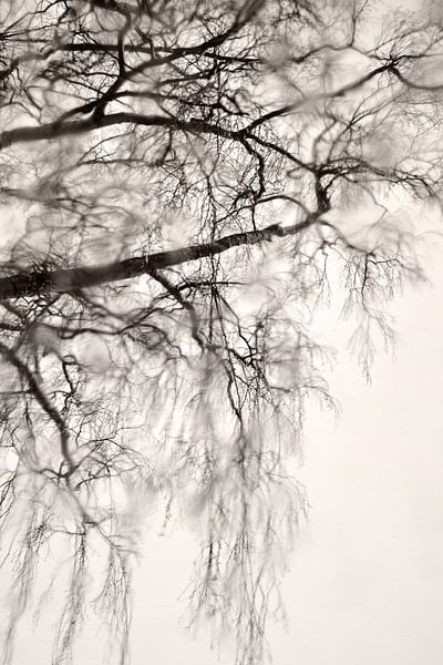 Winter Mood by Lena Weisbek