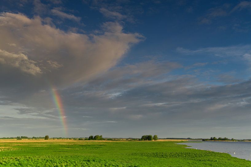 Holländische Himmel - Regenbogen auf einem frischen grünen Landschaft von Dirk-Jan Steehouwer