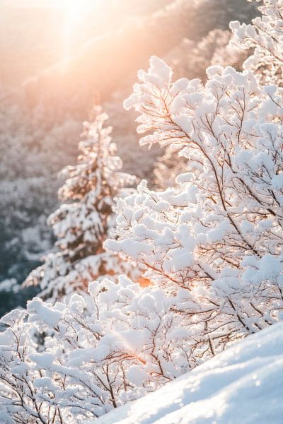 Winterliche Strahlkraft von Poster Art Shop