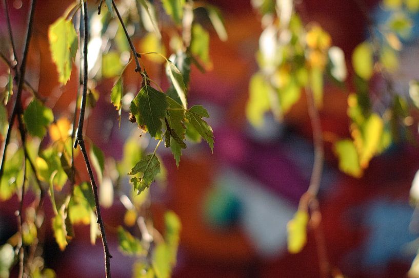 Leafs in motion van tolitoy creations