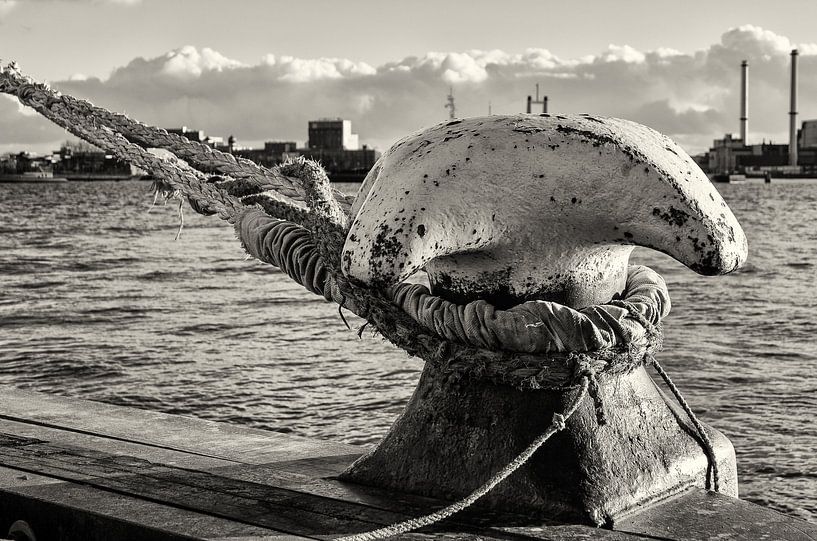 Bolder Rotterdam von Jaco Verheul