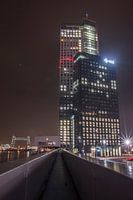 Loopbrug naar de Maastoren RawBird Photo's Wouter Putter