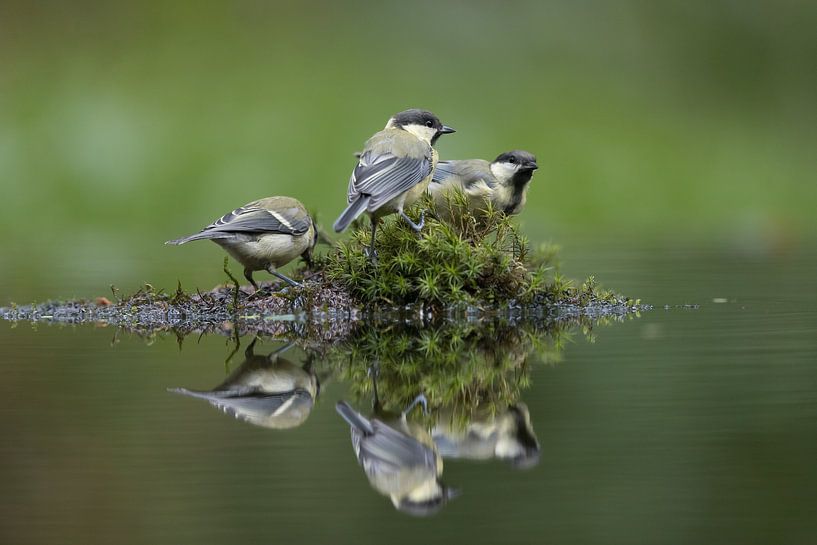 The three of us... by Apple Brenner