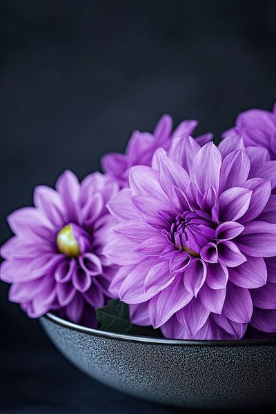Purple Dahlia composition by Vlindertuin-Art