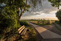 Sibbe, Maastrichter road in evening light