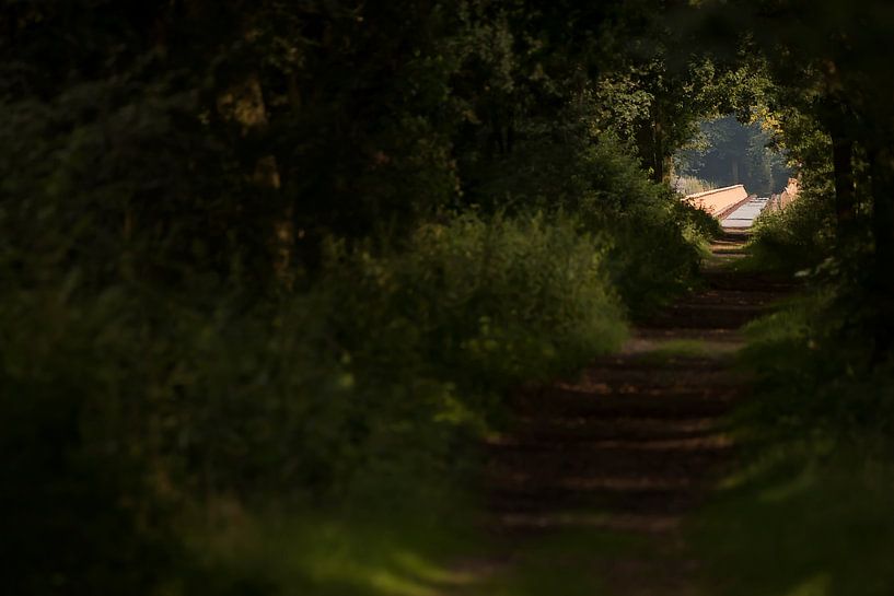 Zur Moerputtenbrücke von Bas Ronteltap