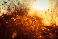 Sonnenuntergang blinkt