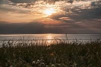 Sonnenuntergang Kiefer klar