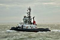 Tug Union Jade