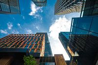 The towers of Bangkok