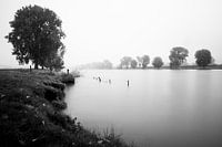 Rivière de brouillard