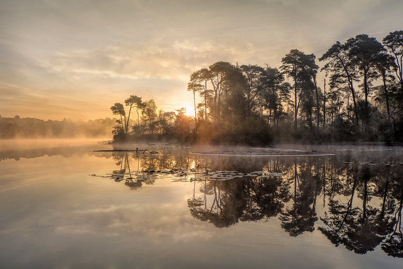 Sunrise at a lake with a peninsula and rising mist by Tony Vingerhoets