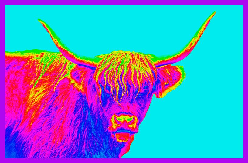 Colourful portrait of a Scottish Highlander by Ans Bastiaanssen