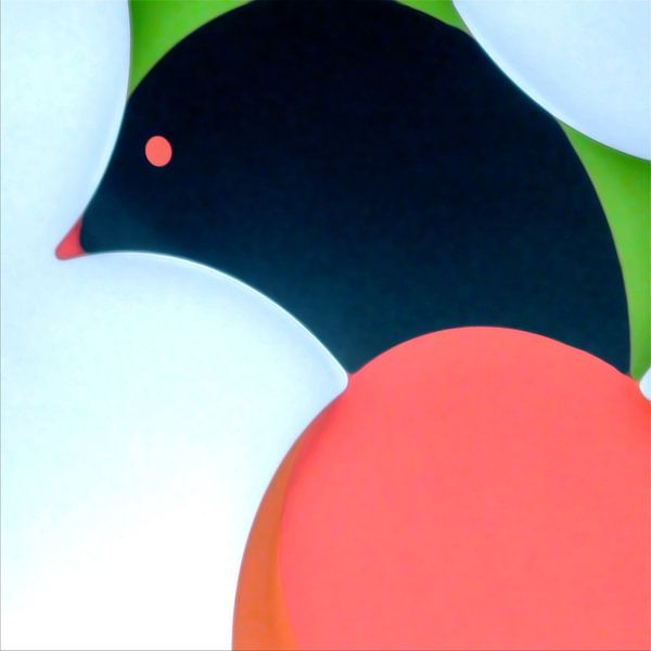 Oiseau en train de couver par Peter Norden