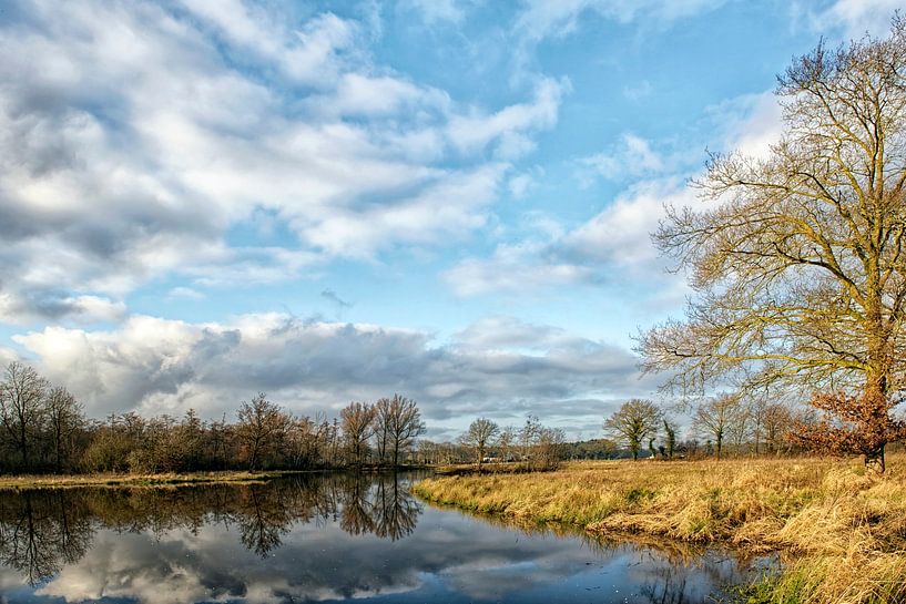 The Meuse arm, nature reserve in Limburg by Tilly Meijer