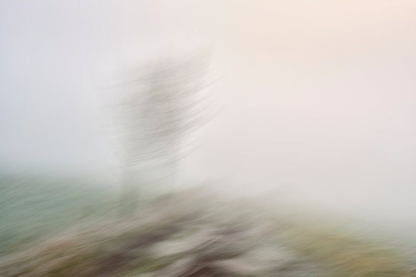 Donc la terre tourne quand même.... par Jenco van Zalk