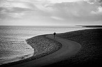 Einsamer Radfahrer auf dem Deich bei Oosterend auf Terschelling.