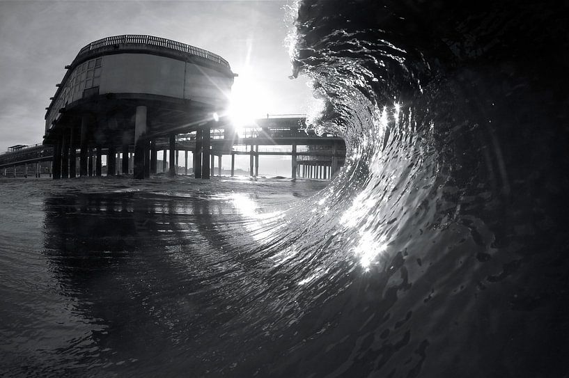 BLACK GOLD by Melchior | Lifestyle Art Photography