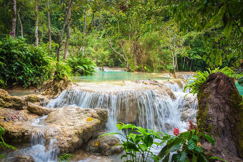 Wasserfall Kuang Si im Wald, Laos von Rietje Bulthuis