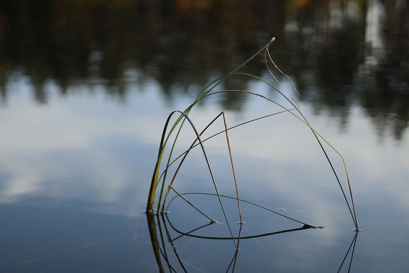 Sweden by Remy Monteyne