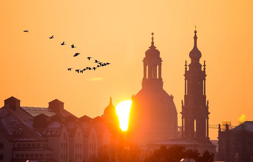 Migratory birds by Sergej Nickel