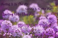 Spring is in the air