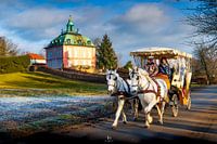 Winter carriage ride at the Fasanenschlösschen - Moritzburg