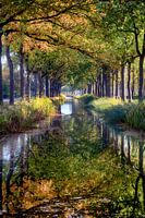 The Compagnonsvaart in Jubbega