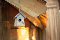 Vogelhaus an einem Baumhaus