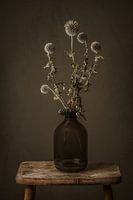 The Lost Ladybug - still life