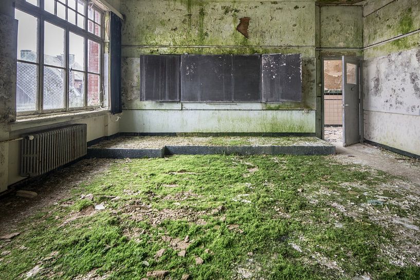 Biology by Chantal Nederstigt