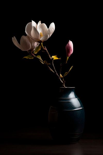 Das Geheimnis der Magnolie von Maarten Knops