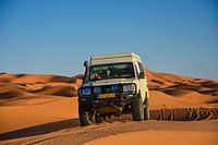 The challenge in the sand