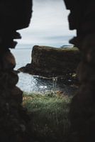 Die einsame Blume auf der Klippe