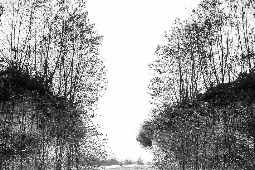 Unfathomable nature by Lucia Kerstens